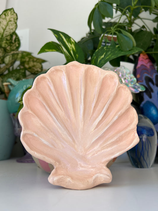 Seashells Clay Art Peach